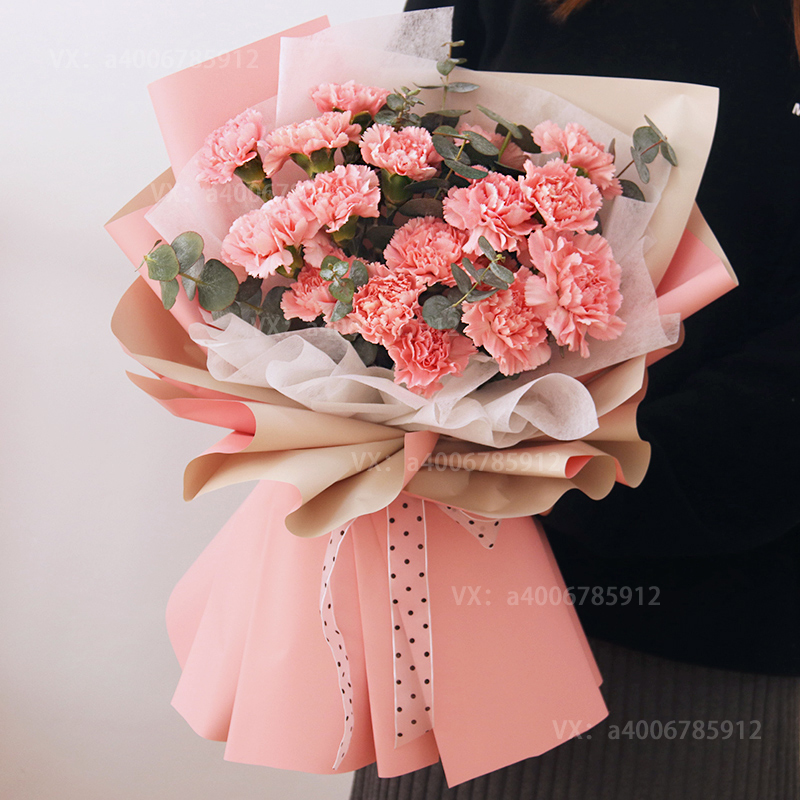19朵粉色色康乃馨鲜花花束生日鲜花新年送花生日礼物送老师送妈妈花店送花上门