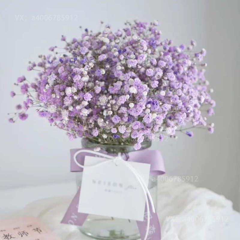 家居鲜花【紫色满天星一份】适合小花瓶大瓶请拍多份简易包装(不含瓶)
