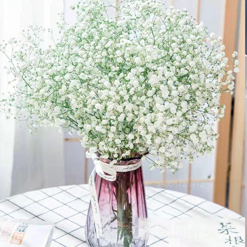 家居鲜花【白色满天星一份】适合小花瓶大瓶请拍多份简易包装(不含瓶)