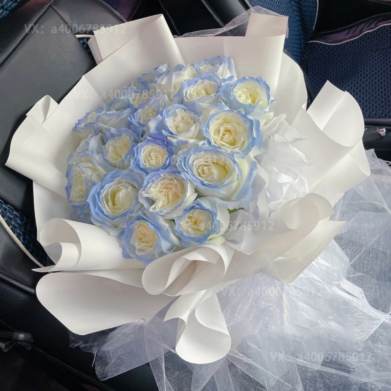 碎冰蓝【奔赴山海与你相见】碎冰蓝玫瑰19朵花束仙女纱送女友惊喜礼物花店送花上门