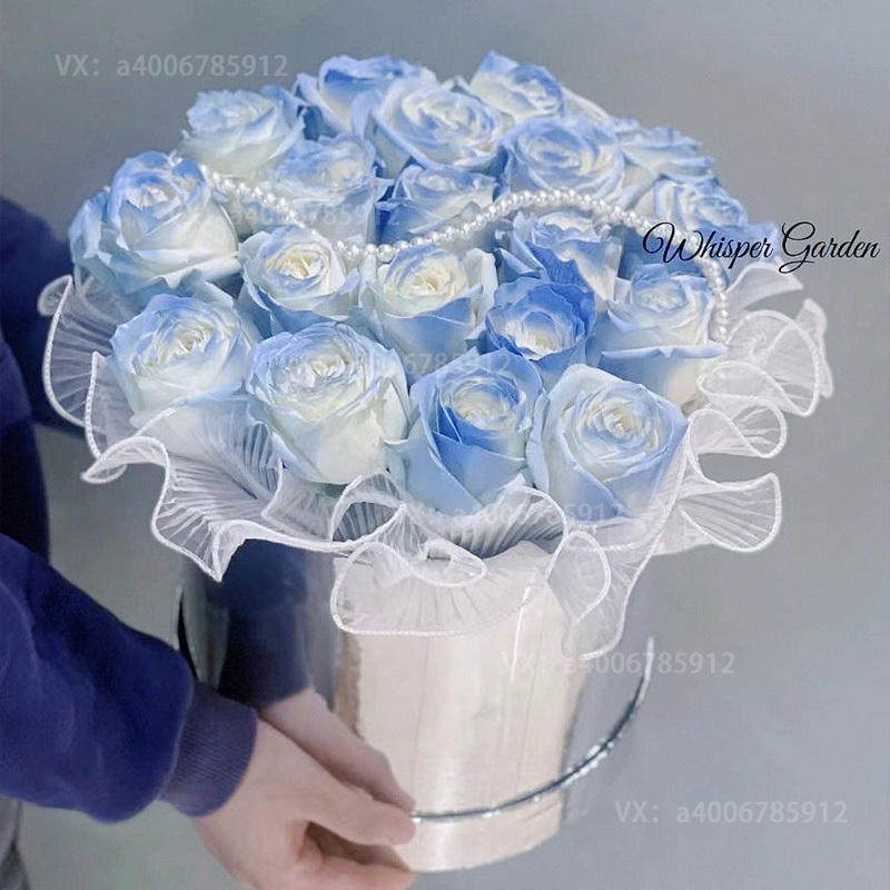 【爱的抱抱】33朵碎冰蓝玫瑰花抱抱桶网红款生日鲜花生日礼物花店鲜花配送花店送花上门