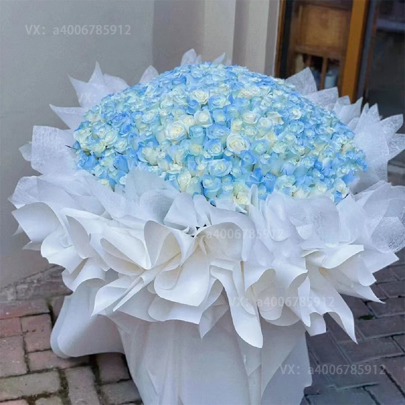【蓝色星空的传说】365朵密西根渐变碎冰蓝玫瑰送女友送老婆惊喜礼物表白生日鲜花求婚鲜花