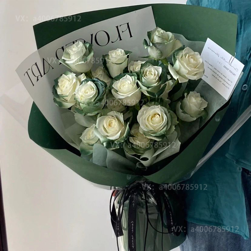 【森林歌者】花店送花上门19朵苏格兰绿玫瑰花束送女友送男友复古绿色系花束高颜值小众花束