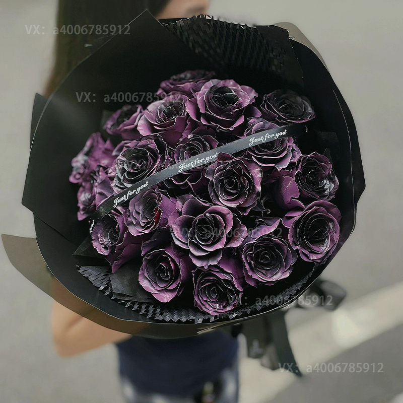 【爱意不朽】乌梅子酱玫瑰19朵花店鲜花配送花束免费配送生日花束小众网红花束送女友的生日礼物