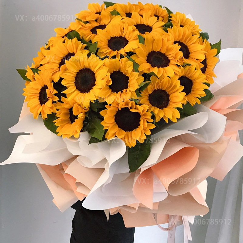 【我们的故事】生日礼物52朵向日葵花花束送闺蜜送朋友花店送花上门生日鲜花