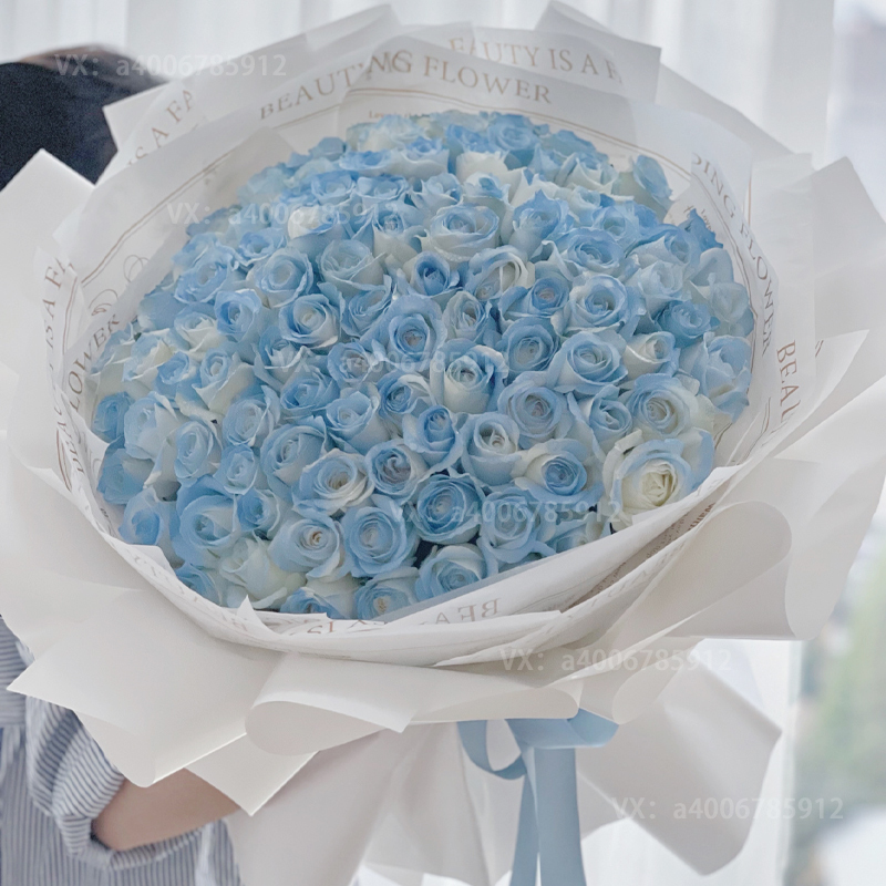 【幸福之恋】99朵密西根碎冰蓝玫瑰花束花店送花上门渐变玫瑰网红鲜花高端花束求婚表白鲜花生日