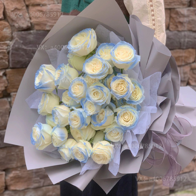 【偏爱一生】密西根碎冰蓝33朵网红渐变双色玫瑰送女友生日礼物表白鲜花店送花上门xianh