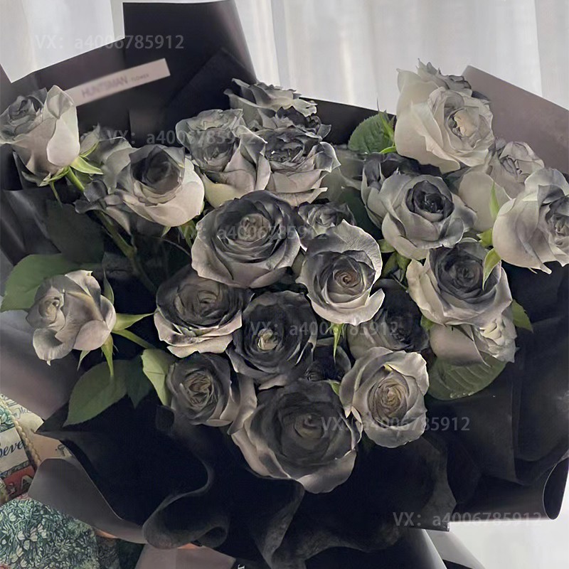 【爱不落俗】33枝黑玫瑰黑骑士玫瑰送男生日礼物玫瑰之恋送花外卖xianhua花店送花上门