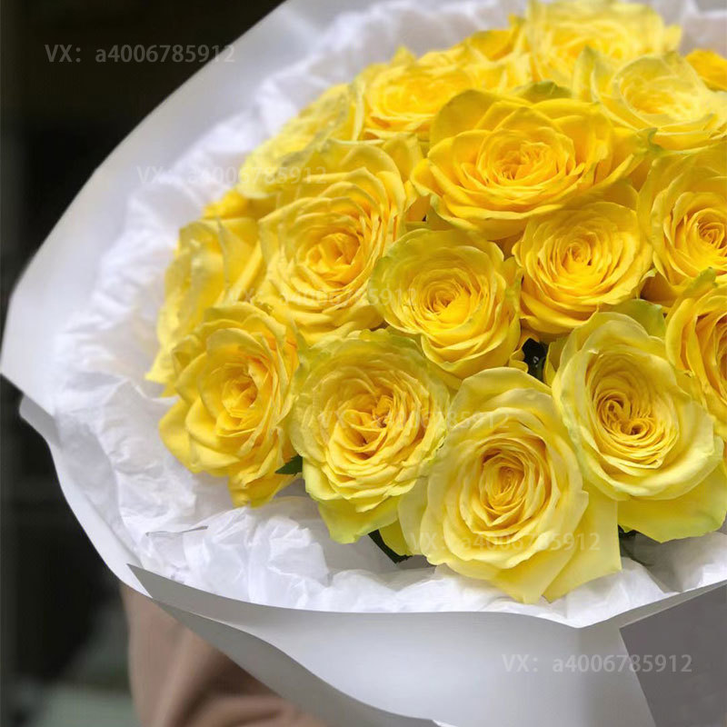 【宝贝对不起】21朵黄玫瑰花束道歉花束生日礼物生日花束送女友送爱人花店送花上门