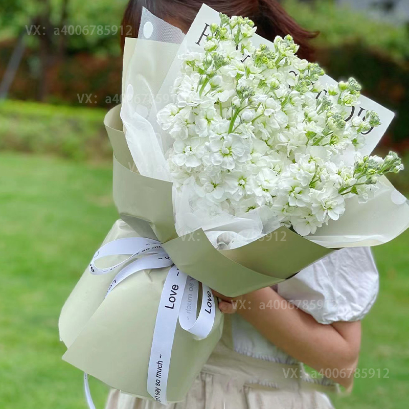 【芬芳满怀】花店送花上门生日鲜花送女友送闺蜜白色紫罗兰花束1束生日礼物生日鲜花高颜值花束