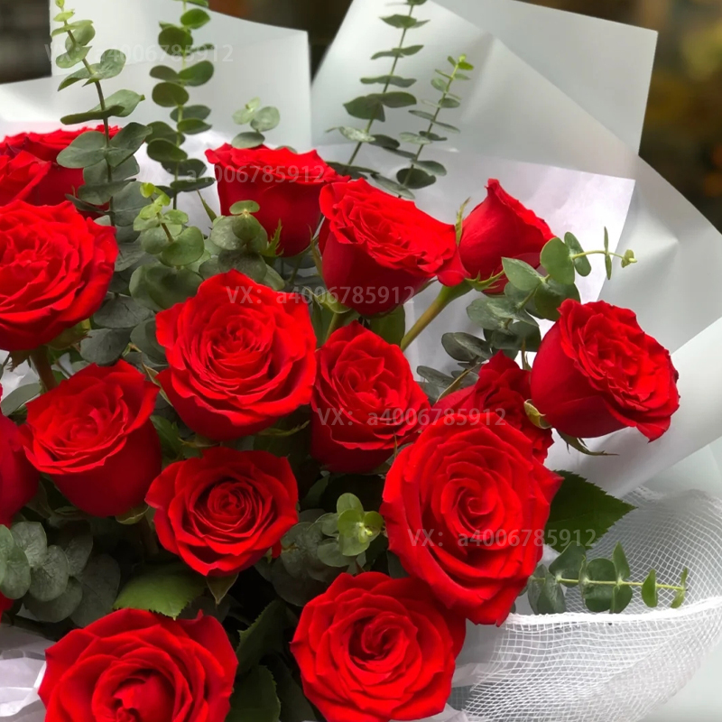 【余生有你足够】19朵红玫瑰花束女友生日鲜花玫瑰之恋送老婆情人节鲜花花店送花上门
