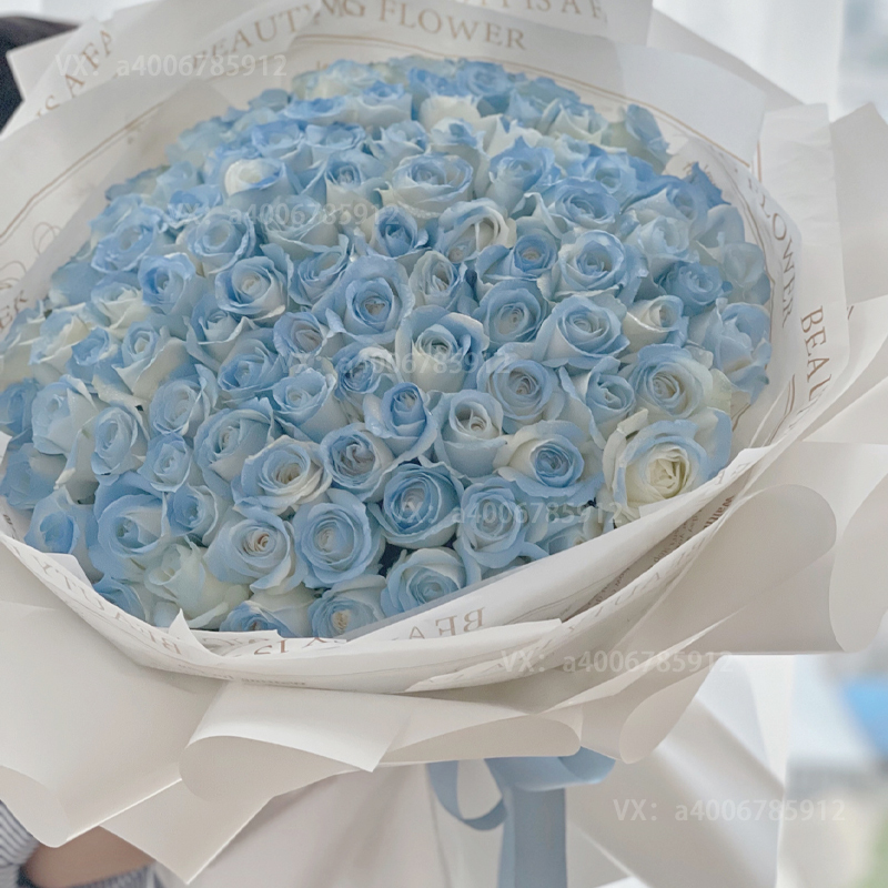 【幸福之恋】99朵密西根碎冰蓝玫瑰花束花店送花上门渐变玫瑰网红鲜花高端花束求婚表白鲜花生日