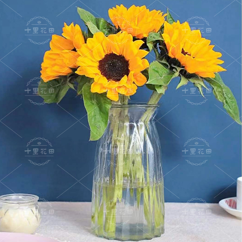 家居鲜花【向日葵4枝】可根据自家花瓶大小选购家庭插花简易包装(不含瓶)