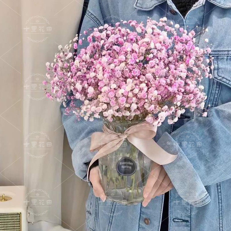 家居鲜花【粉色满天星一份】适合小花瓶大瓶请拍多份简易包装(不含瓶)