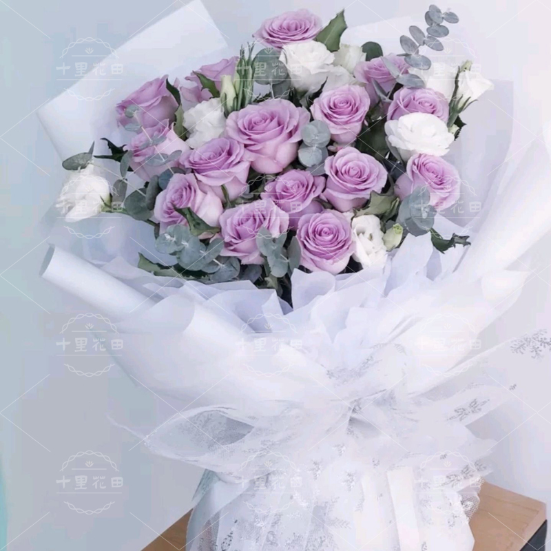紫玫瑰19朵【鲸落于海】高级感紫玫瑰花束混搭洋桔梗仙女纱送女神生日礼物花店送花上门