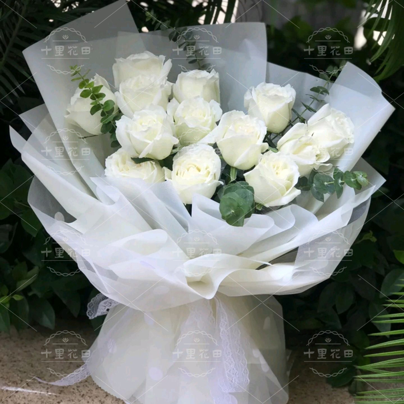 白玫瑰11朵【岁月斑驳，共你白头】ins小清新白玫瑰花束纯洁送女友表白纪念日鲜花店送花上门