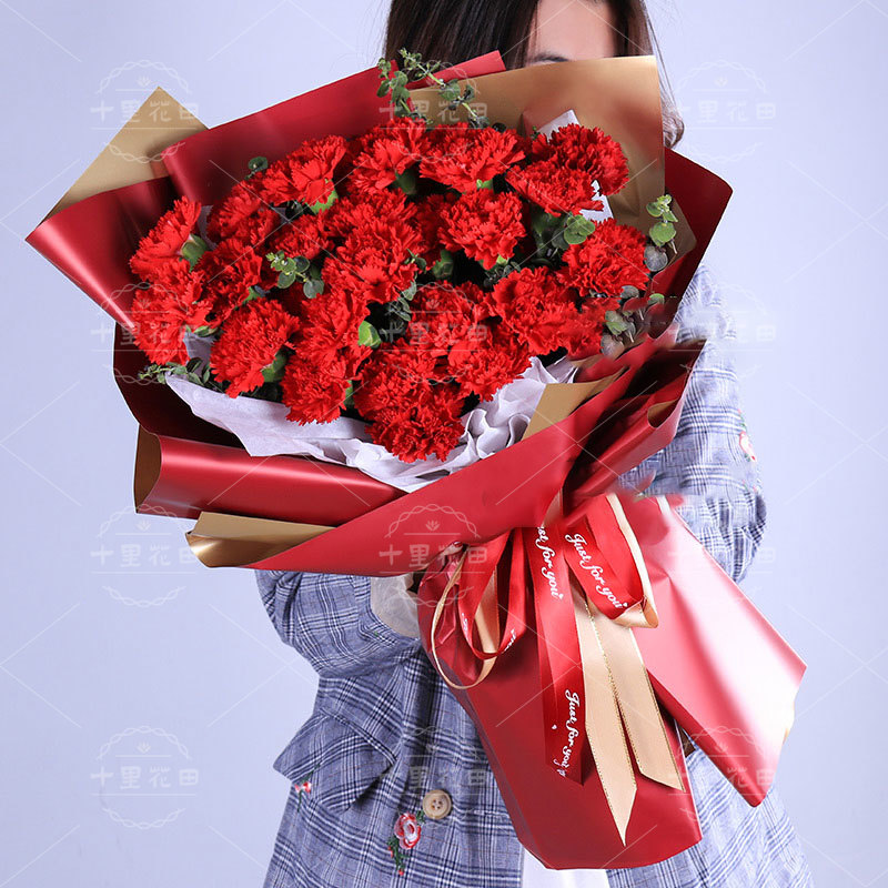 红色康乃馨33朵【健康幸福常相伴】送妈妈送婆婆生日礼物长辈生日鲜花新年送长辈送花上门