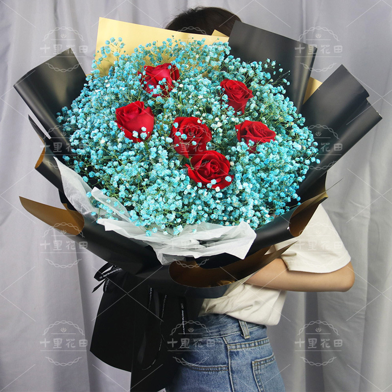 【爱&琴海】6朵红玫瑰送往女友送男友生日礼物鲜花玫瑰玫瑰花束生日花外卖节花店送花上门
