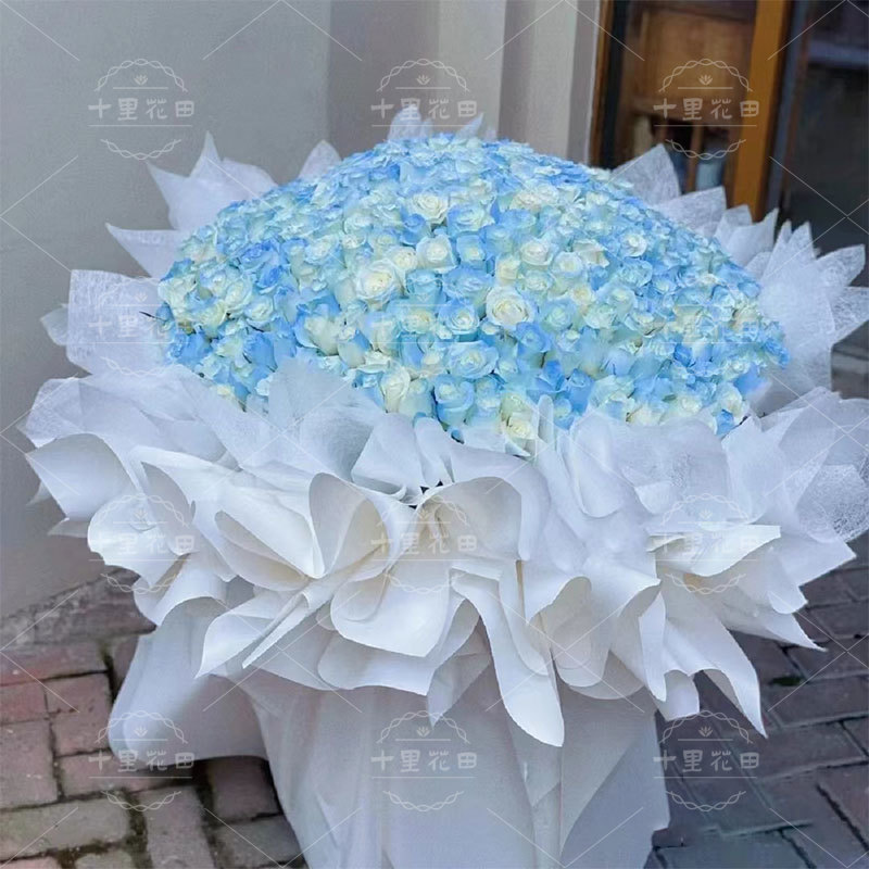 【蓝色星空的传说】365朵密西根渐变碎冰蓝玫瑰送女友送老婆惊喜礼物表白生日鲜花求婚鲜花