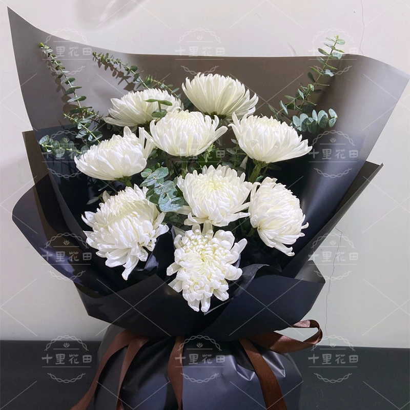 9朵白菊花