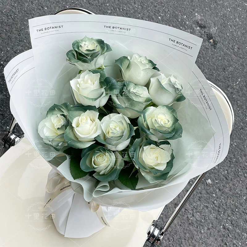 【爱意永恒】花店送花上门苏格兰绿玫瑰11朵生日花束生日礼物小众复古色玫瑰花束送女友送闺蜜