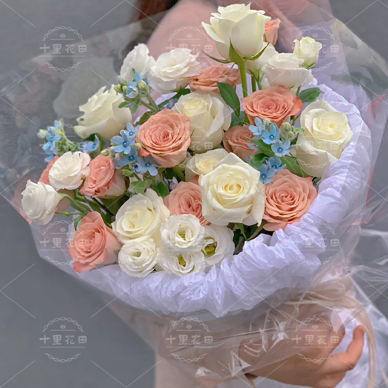 【浅喜深爱】生日礼物9朵朵卡布奇诺花店免费送花上门生日鲜花