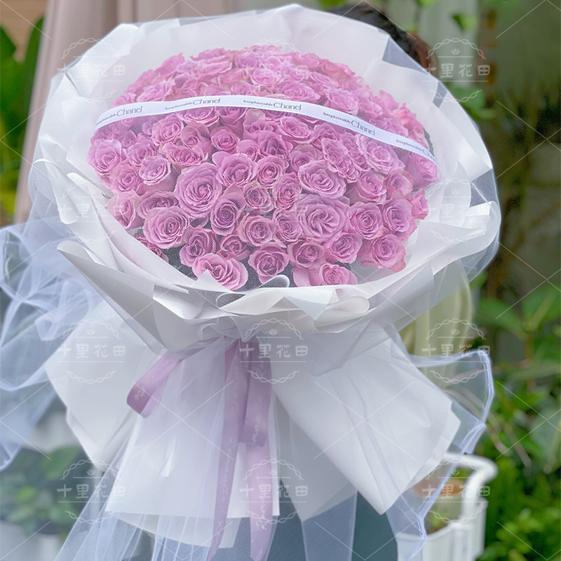 【南风知我意】花店送花上门99朵紫玫瑰大花束送女友送对象送闺蜜生日礼物生日鲜花紫色系大花束