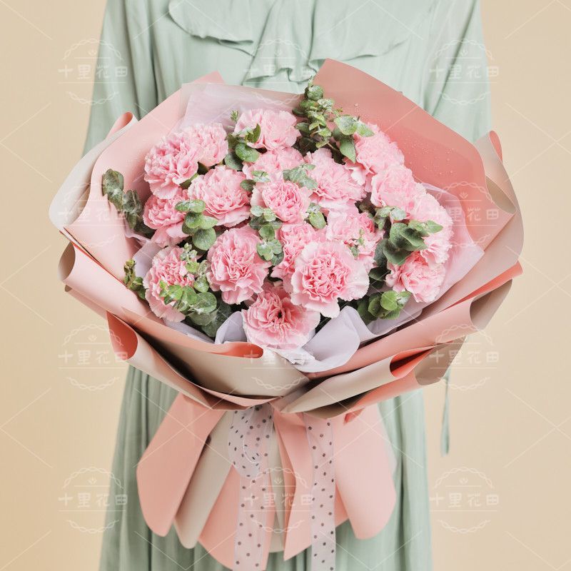 【育梦成光】花店鲜花配送11朵粉色康乃馨花束送老师教师节花束