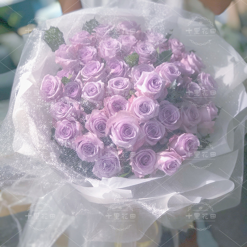 【紫霞仙子】花店鲜花配送紫玫瑰33朵花束送女友送闺蜜生日花束生日礼物细纱蒙面款仙女纱花束