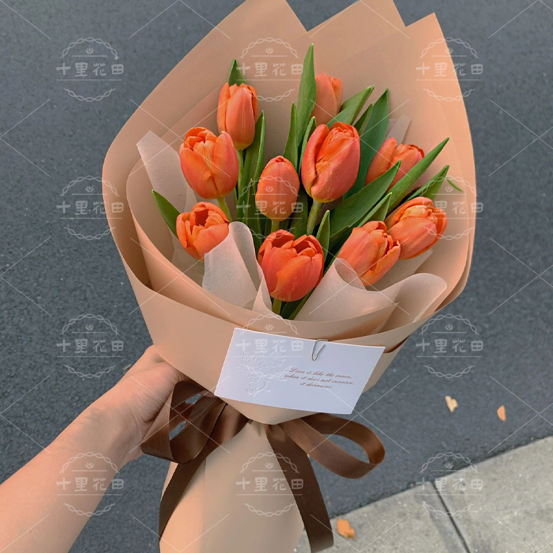 【带上漂亮的花去赴约】生日鲜花10朵生日礼物花店送花上门