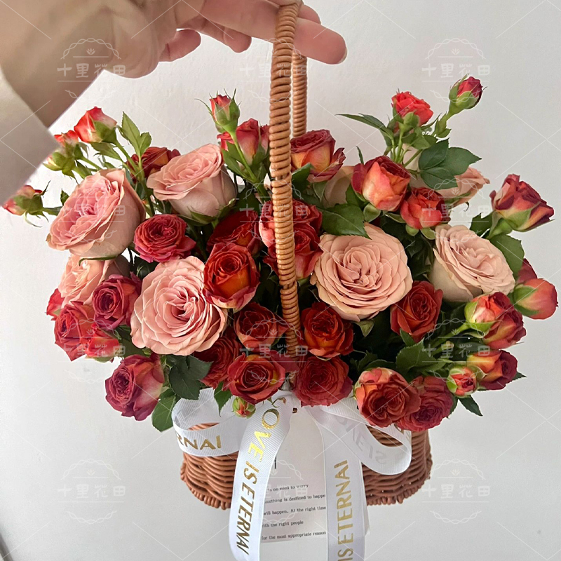 【尽是温柔】生日礼物1束卡布奇诺➕巧克力泡泡花篮鲜花送花上门