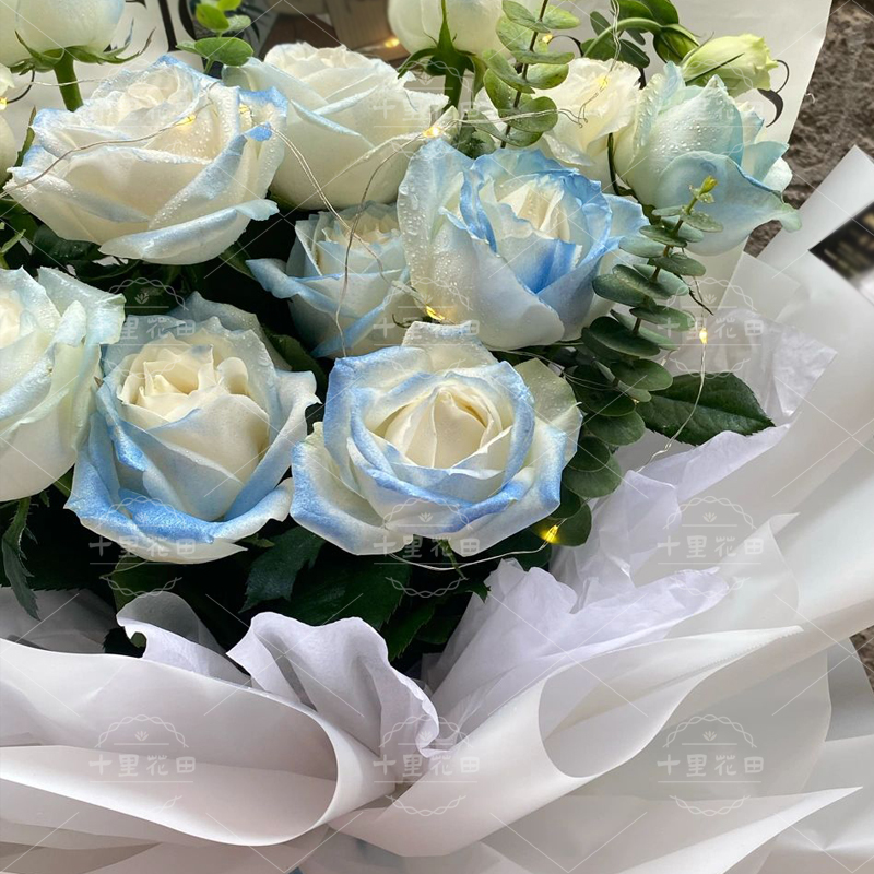 11朵碎冰蓝【悄悄浪漫一下，别让世俗知道】渐变双色玫瑰花束送女友生日礼物表白鲜花店