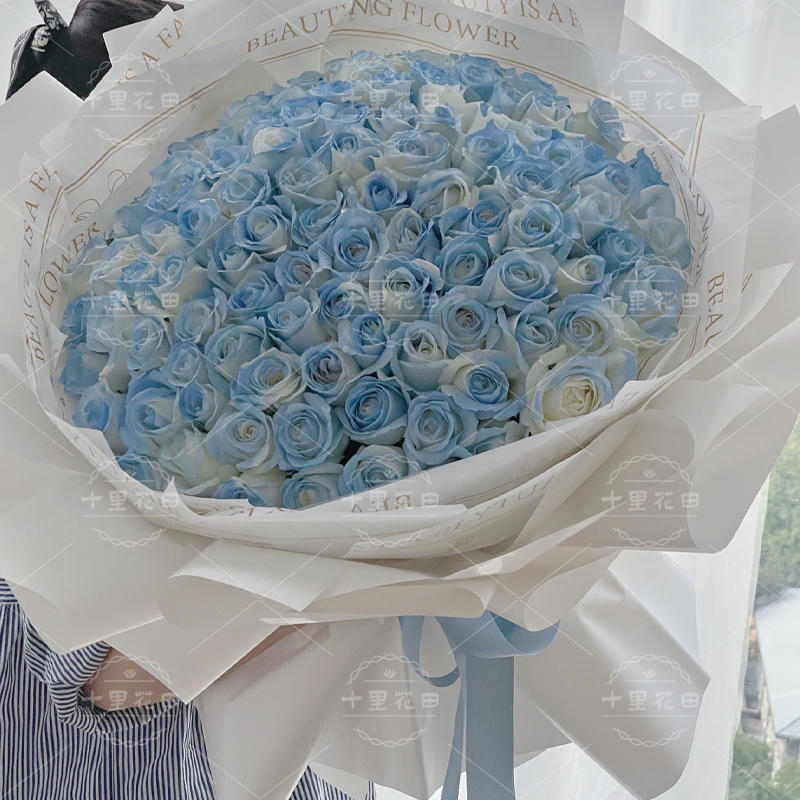 碎冰蓝99朵【藏起来的温柔和可爱，都给你啦】高档大花束送给女友生日礼物表白鲜花店