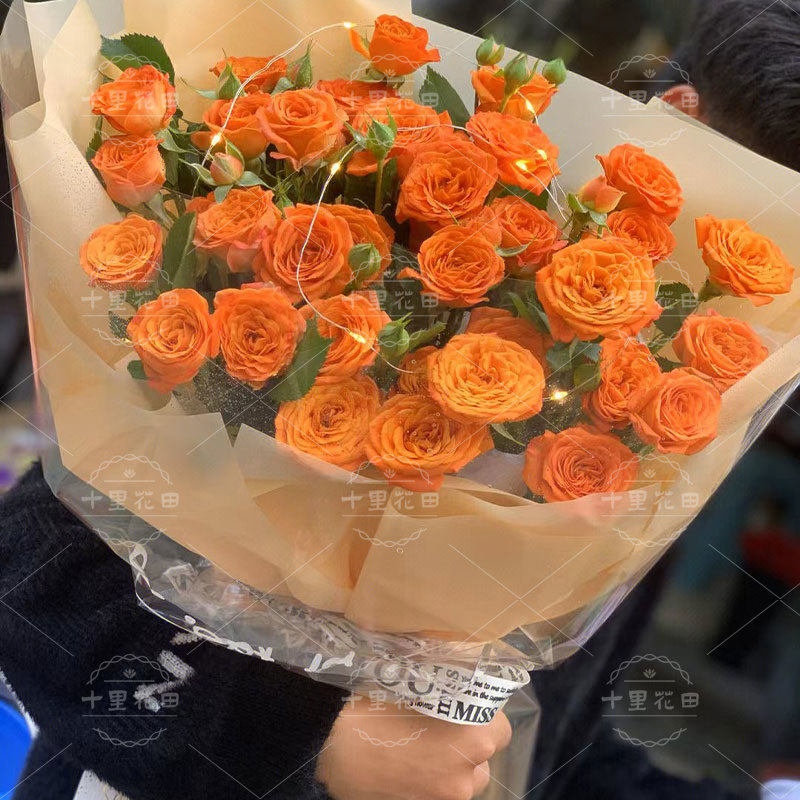 【橘子汽水】橙色芭比玫瑰泡泡玫瑰1束送女友送闺蜜生日礼物生日花束多头玫瑰花花店送花上门