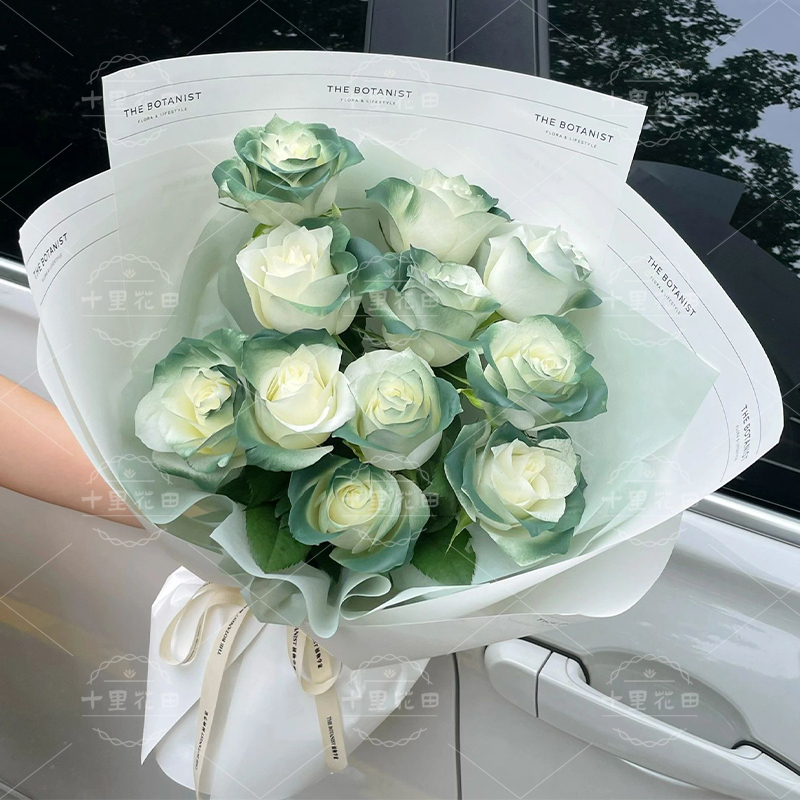 【爱意永恒】花店送花上门苏格兰绿玫瑰11朵生日花束生日礼物小众复古色玫瑰花束送女友送闺蜜