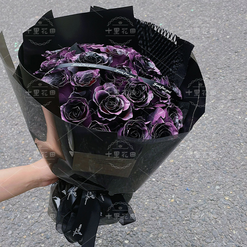 【爱意不朽】乌梅子酱玫瑰19朵花店鲜花配送花束免费配送生日花束小众网红花束送女友的生日礼物