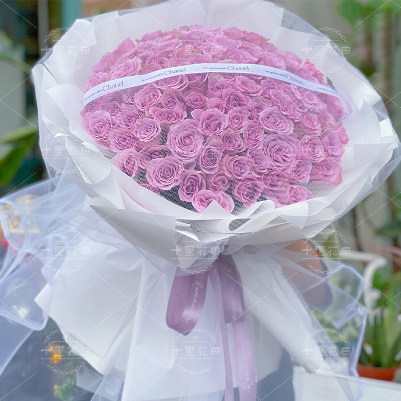 【南风知我意】花店送花上门99朵紫玫瑰大花束送女友送对象送闺蜜生日礼物生日鲜花紫色系大花束