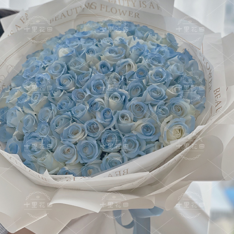 碎冰蓝99朵【藏起来的温柔和可爱，都给你啦】高档大花束送给女友生日礼物表白鲜花店