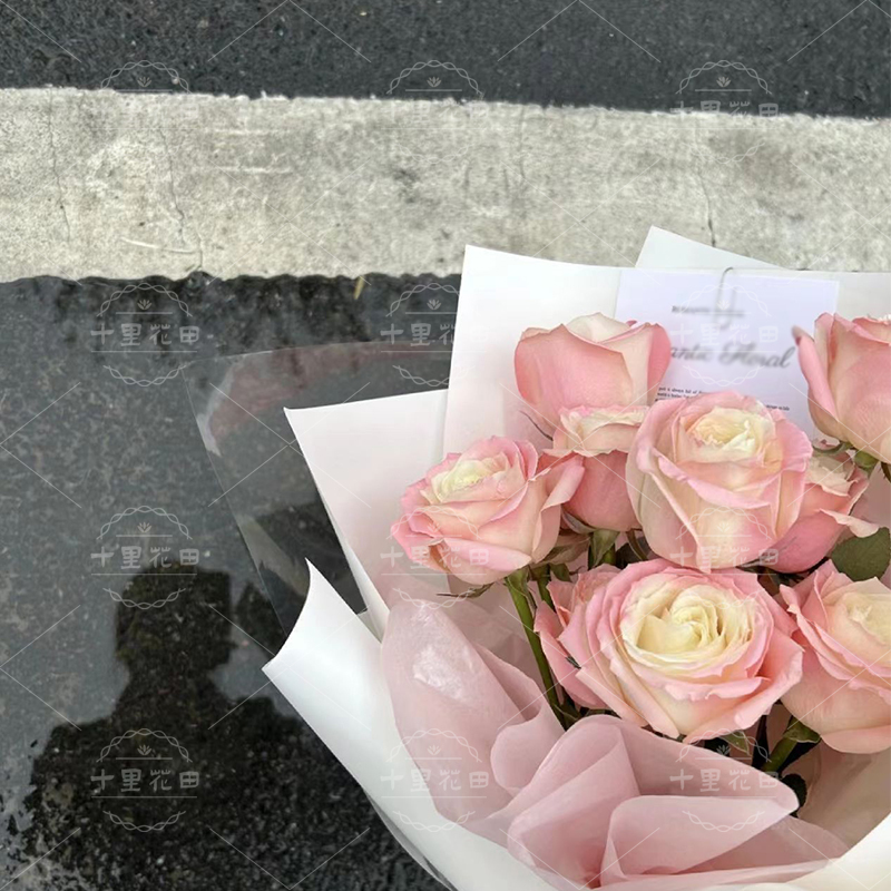 【我们刚刚好】生日鲜花11朵火烈鸟粉玫瑰花店送花上门生日礼物送女友送闺蜜高颜值网红花束